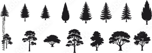Tree silhouettes, coniferous and deciduous, forest elements, botanical shapes, nature icons, fir spruce oak elm maple, landscape design, vector illustration