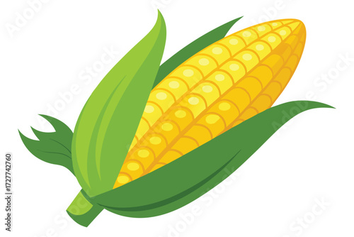 A yellow corn cob wrapped by green leaves sits on the white background
