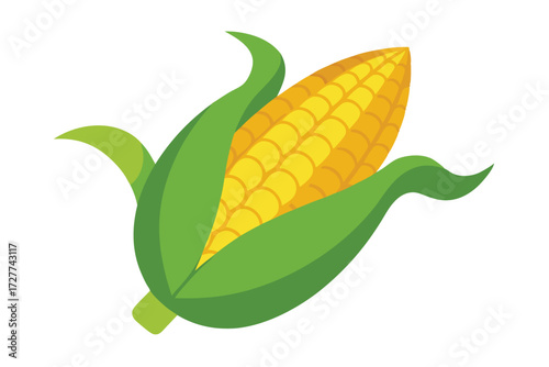 Fresh bright yellow corn with green husks shows wholesome natural food source