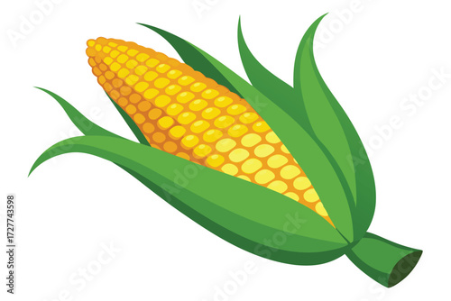 Fresh yellow corn cob displays vibrant husk and neatly arranged kernels ready for harvest