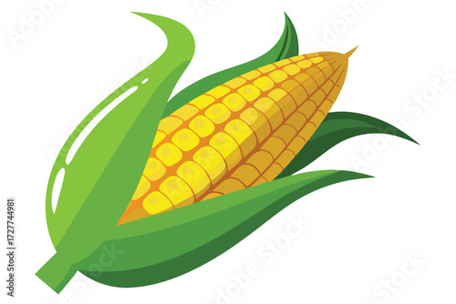 Yellow corn cob featuring many kernels is surrounded by green husk leaves
