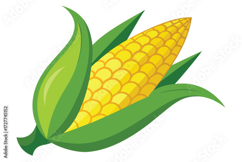 Bright yellow corn cob showcases vibrant green husk in a simple and inviting manner