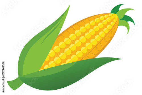 Fresh corn on the cob features vibrant yellow kernels and bright green husks