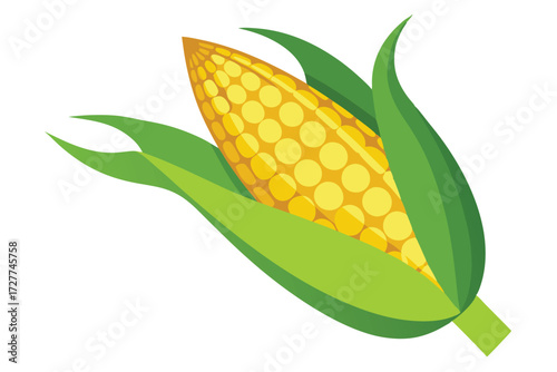 Bright yellow corn on the cob peeks through its green husk wrapper in flat design
