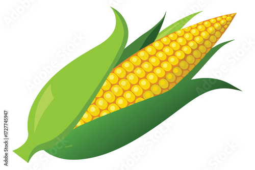 Ripe corn cob with green husk showcases delicious yellow kernels on a white backdrop