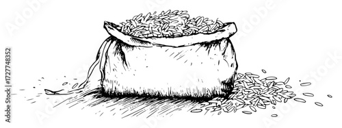 sack of rice hand drawn illustration