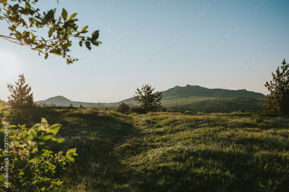 Obraz premium landscape with trees