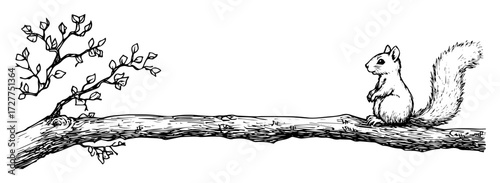 squirrel on tree branch hand drawn illustration
