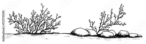 hand drawn bush and stones landscape element