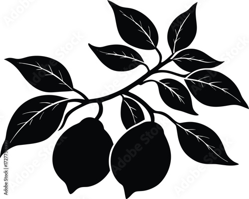 Lemon Branch Silhouette | Citrus Fruit Vector Design