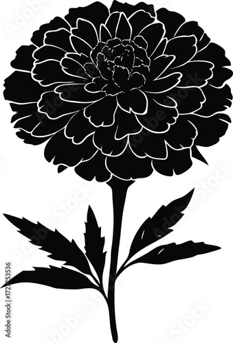 Marigold Bloom Silhouette | Bright Floral Vector Design