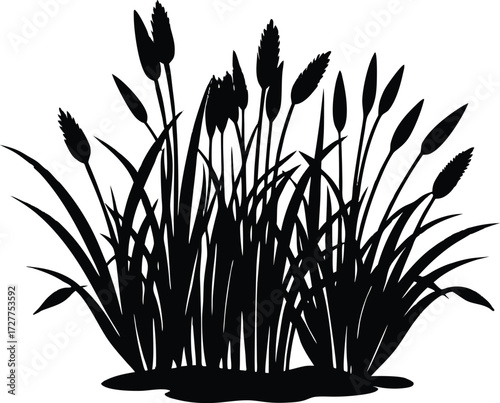 Marsh Plant Silhouette | Wetland Botanical Vector Illustration