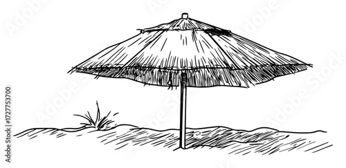 Thatched Beach Umbrella Vector – Palapa Line Art Illustration