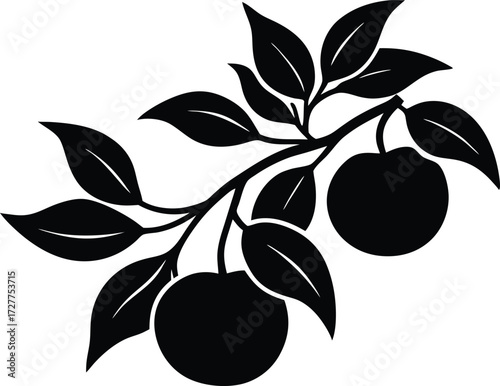 Orange Fruit Branch Silhouette | Citrus Orchard Vector Illustration