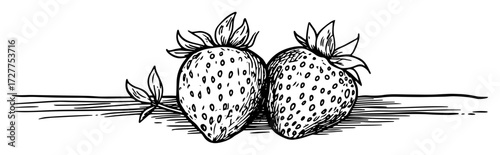 Hand-Drawn Strawberries Vector – Botanical Fruit Line Art