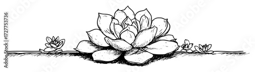 lotus flower with leaves hand drawn sketch