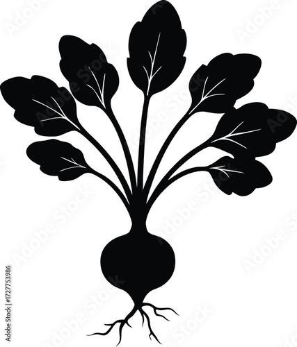 Radish Plant Silhouette | Root Crop Vector Design