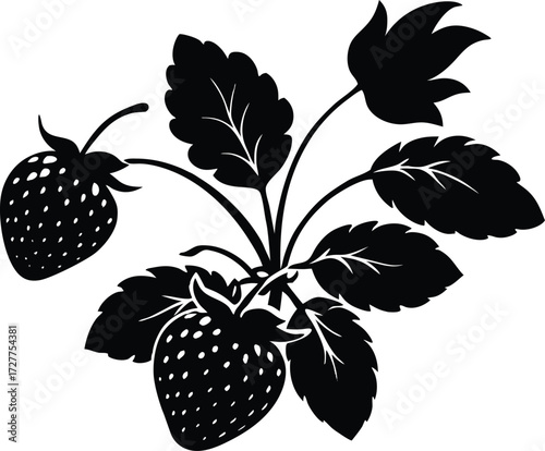 Strawberry Plant Silhouette | Fresh Fruit Vector Design