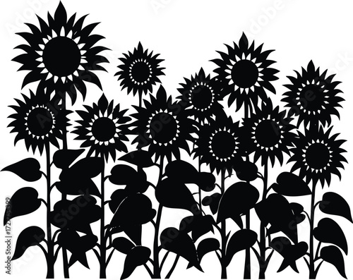 Sunflower Field Silhouette | Bright Floral Vector Design
