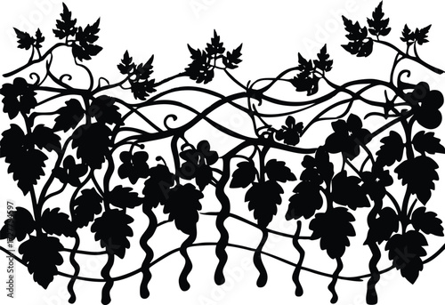 Vineyard Vine Silhouette | Grape Plant Vector Design