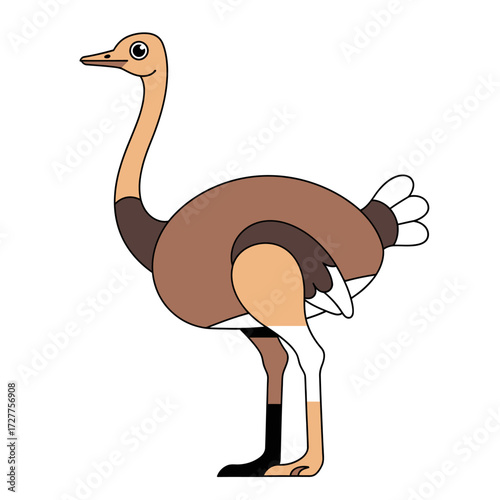 Ostrich Illustration on a White Background