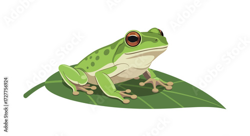 Leafy Green Frog Illustration