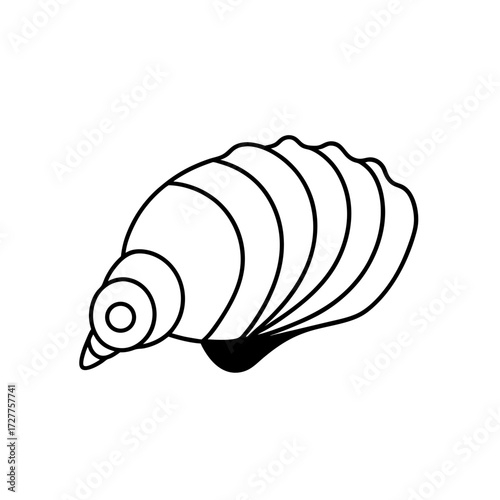 Detailed Seashell Spiral Ridges Soft Pearly Transparent Background