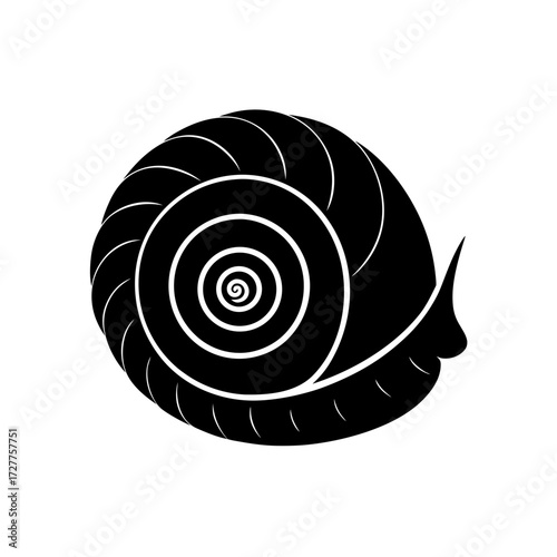 Detailed Snail Shell Spiral Glossy Pearly Transparent Background