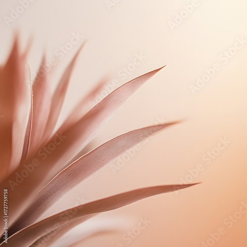 Abstract Pink Plant Leaves Closeup Minimalist Botanical Background