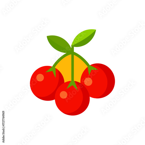 cartoon red cherry tomato cluster hang  juicy vector