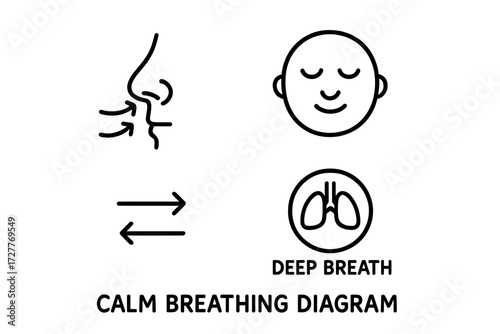 Understanding calm breathing techniques through a simple diagram for relaxation and mindfulness practices
