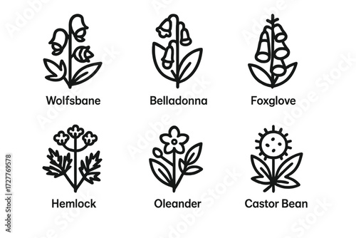 Collection of illustrated poisonous plants including wolfsbane, belladonna, foxglove, hemlock, oleander, and castor bean