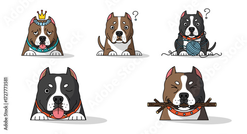 Questioning Canines: Curious Dogs and Symbols