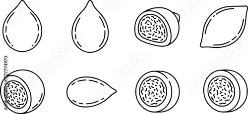 Set of kibbeh balls outline vector icons