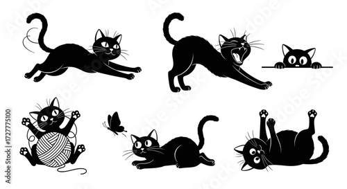 Feline Frenzy: Cats at Play