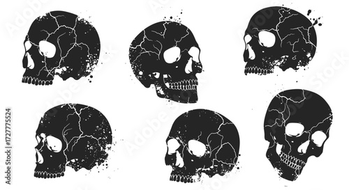 Black Skull Silhouette Variations