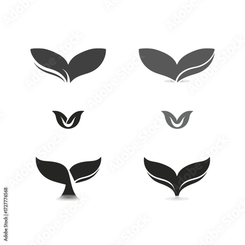 Tail Designs Six graphical tail fin or leaf shape designs on a white background
