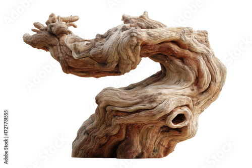 Intricate driftwood sculpture with complex patterns on black background, cut out