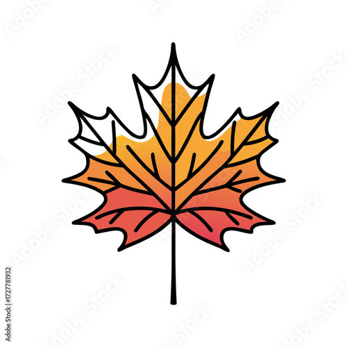 Autumn maple leaf with orange and red colors on white background  