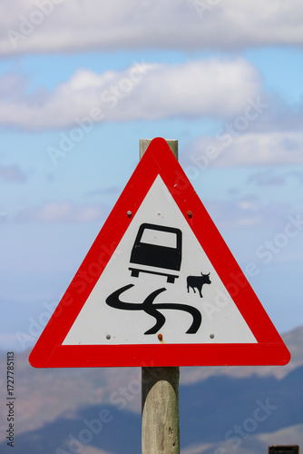 Wallpaper Mural warning sign for cars to avoid slinging by contact with wild buffalos Torontodigital.ca