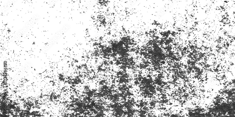 Fototapeta premium Black and white abstract grunge texture design pattern with a vintage floral border illustration for a dirty old wallpaper frame