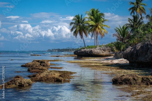 Beautiful Juan Dolio beach offers tranquil waters, vibrant palm trees, and coral rock formations under a clear blue sky with gentle waves lapping at the shore
