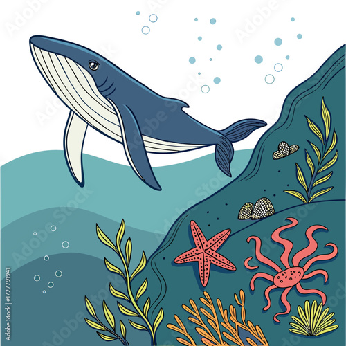 Whale swimming in the ocean with coral and starfish