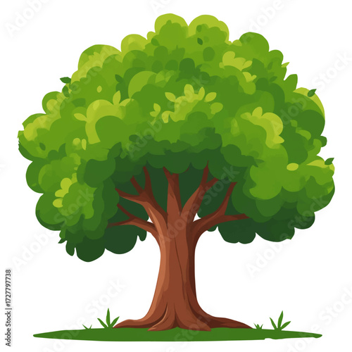 A tall tree with lush foliage on the lawn. Vector illustration. A forest tree with a curved trunk and a large crown, isolated on a white background