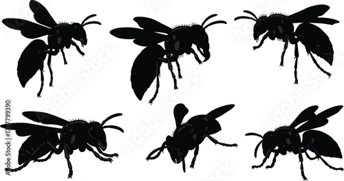 Silhouette bees, wasps, insect illustration, flying insects, entomology study, black outline, vector design, nature wildlife, pollinator concept, educational graphic