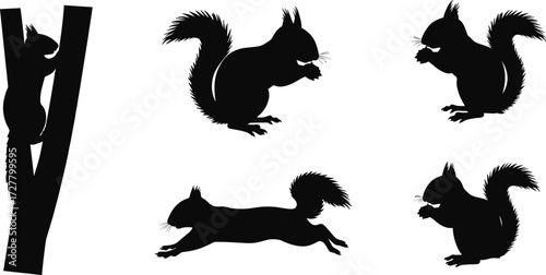Silhouette squirrels climbing, sitting, eating, running, leaping, wildlife illustration, animal behavior, forest nature, black outline, vector design, isolated background