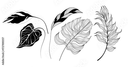 Tropical leaves illustration. Line art black and white leaves design set.