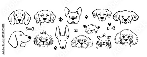 Adorable puppy faces in detailed line art offer a charming design for pet lovers and animal enthusiasts alike