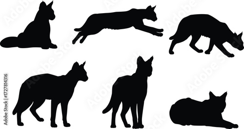 Cat silhouette vector illustration, domestic feline poses collection, sitting, walking, leaping, crouching, lying down design, pet animal artwork for stock content