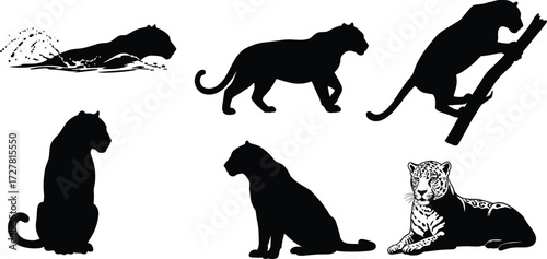 Black panther silhouette vector, big cat poses, wild animal illustration, swimming, climbing, sitting, walking, lying, feline movement, predator design, cad drawing flat vector illustration